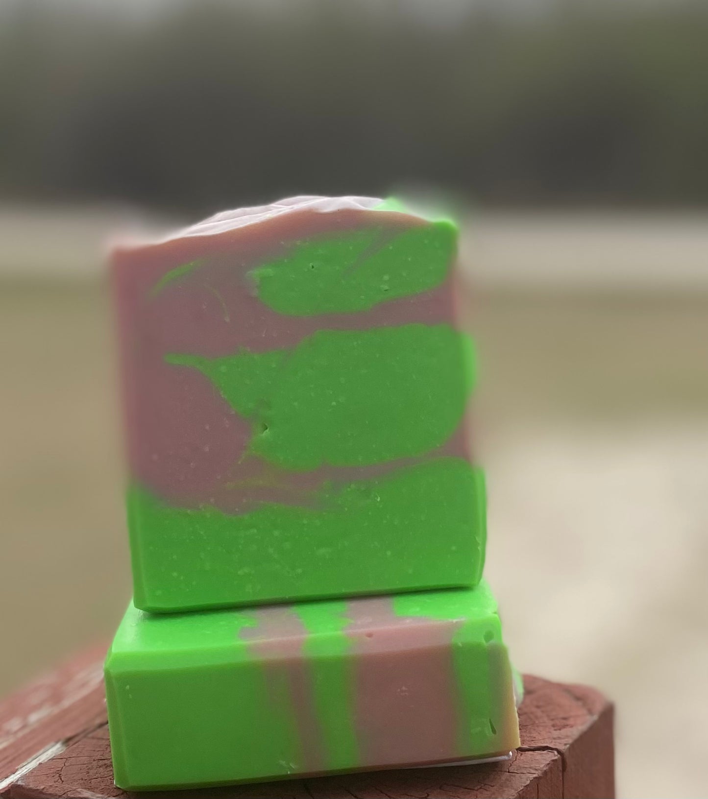 Baja Cactus Blossom Bar